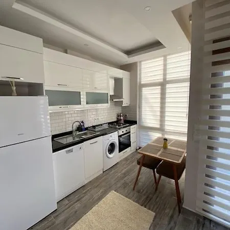 Apartment New Apt In The Cntr Of Alanya, 30 Mt From The Sea