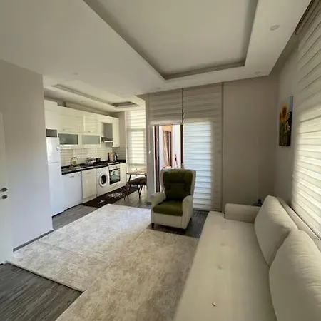 Apartment New Apt In The Cntr Of Alanya, 30 Mt From The Sea